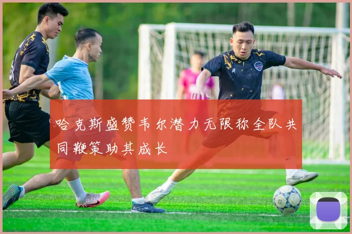 哈克斯盛赞韦尔潜力无限称全队共同鞭策助其成长