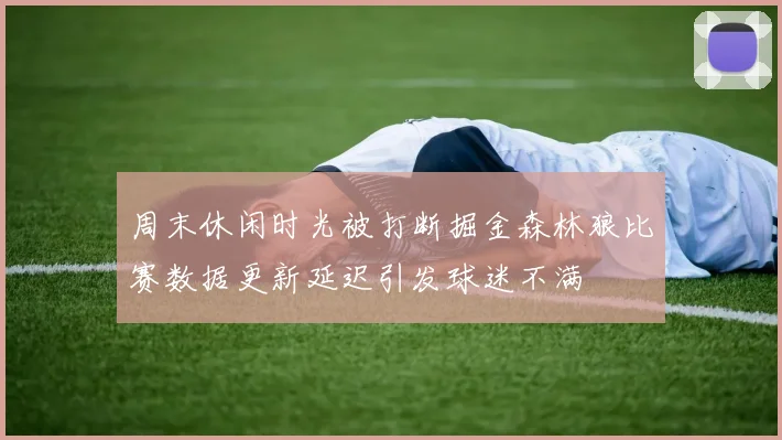 周末休闲时光被打断掘金森林狼比赛数据更新延迟引发球迷不满