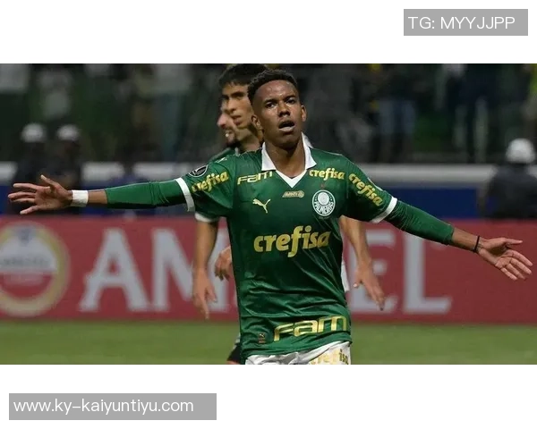 帕尔默因腹股沟伤势缺阵至11月将缺席至少四场重要比赛